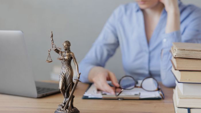 Гульмира Сатыбалды частично признала вину в суде