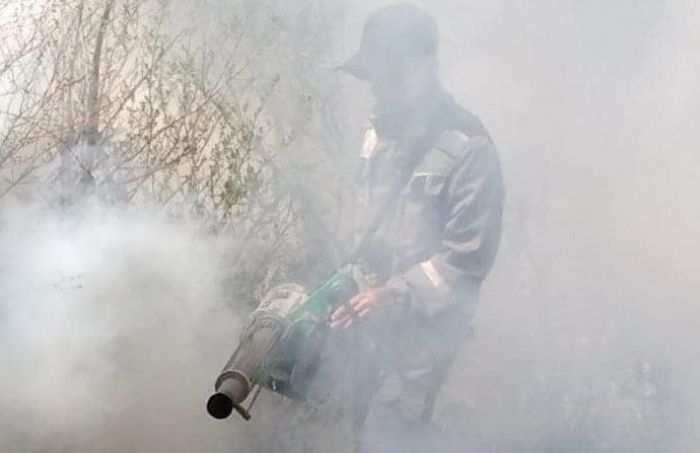 Битва с комарами в Атырау: пока побеждают кровопийцы