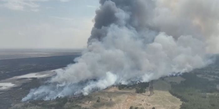 Лесной пожар в Абайской области локализован 