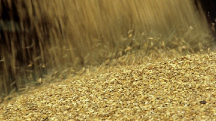Грузия предлагает Египту организовать транзит зерна из Казахстана