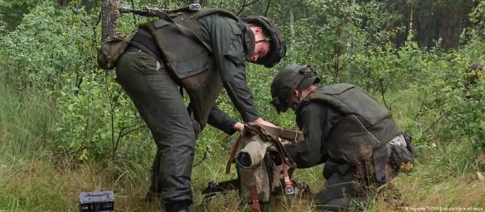 НАТО не видит угрозы со стороны ЧВК "Вагнер" в Беларуси