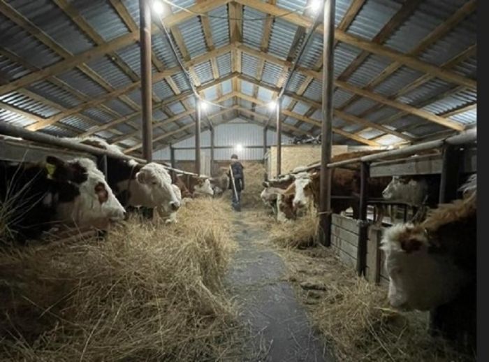 В селе Актогай открылся цех по производству молочных изделий