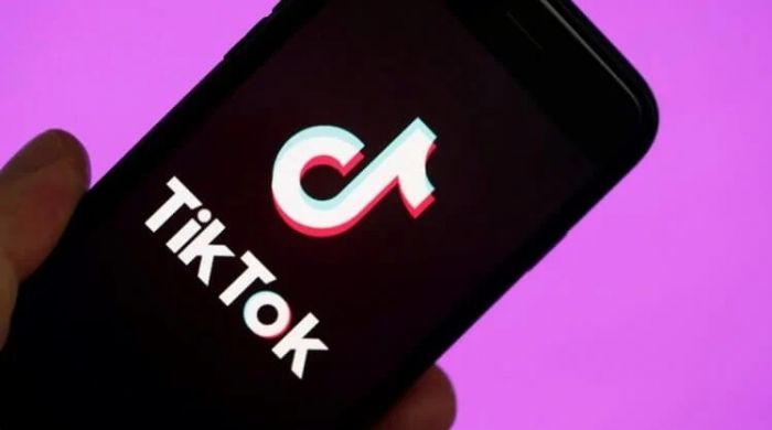 В Алматы осудили организаторов азартных игр в TikTok 