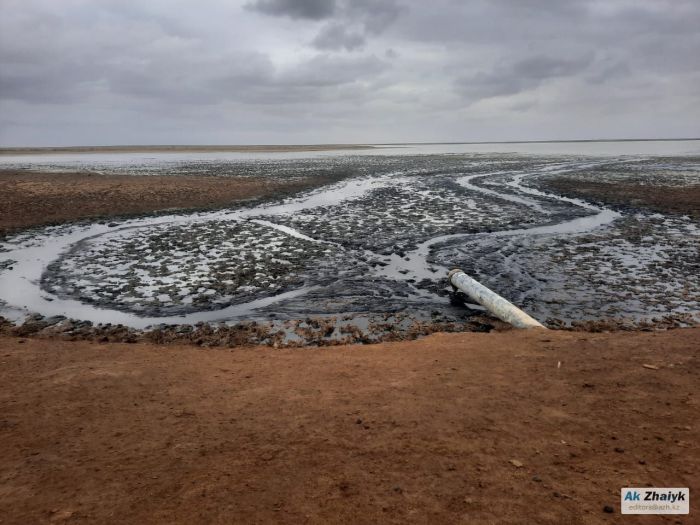 Вонь у озера-2: ГКП «Жылыой Су» оштрафовано на 274 млн тенге