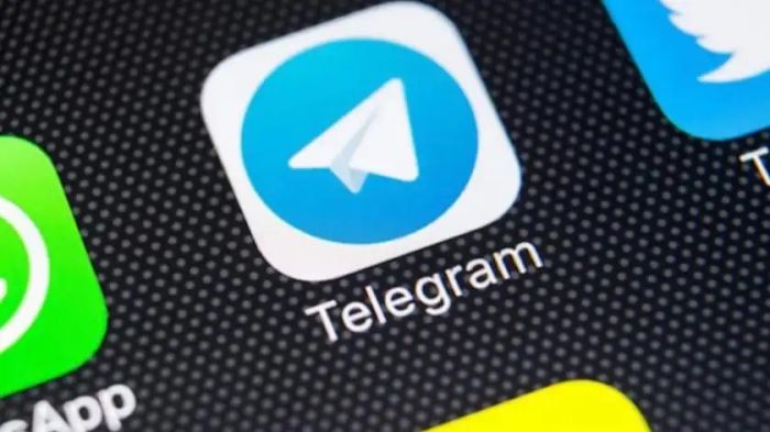 Досье на каждого казахстанца сливает Telegram-бот: ответ министерства 