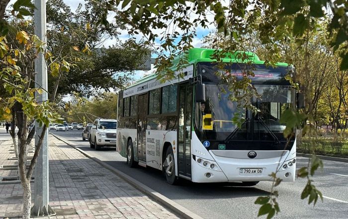 На дороге в аэропорт появятся автобусы. Но не сейчас