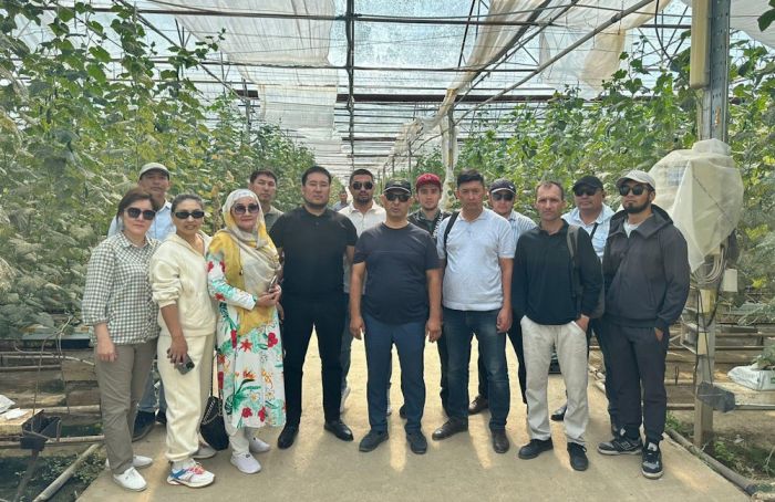 Проект "Мен кәсіпкер" создаёт новые сельхозпроекты в Атырау