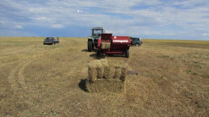 Инспекторы Коргалжынского заповедника наказаны за выпас скота