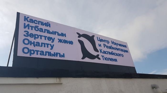 В Актау модернизировали Центр изучения и реабилитации каспийского тюленя
