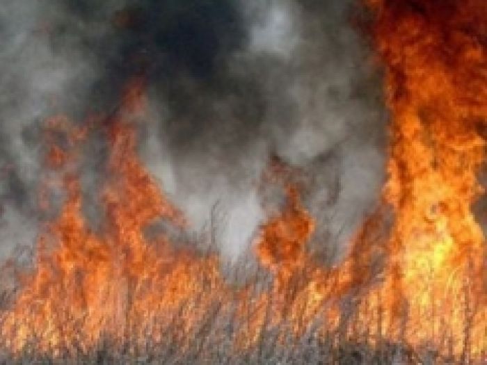 В Курмангазинском районе выгорело 170 гектаров степи