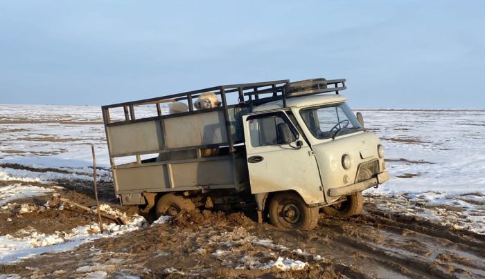 Скрип колеса – лужи и грязь дорог 