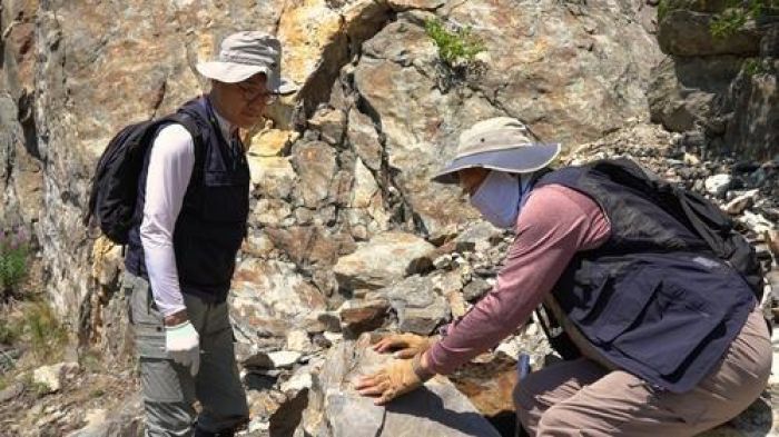 Корейские геологи нашли в Казахстане месторождение лития на 15,7 млрд долларов