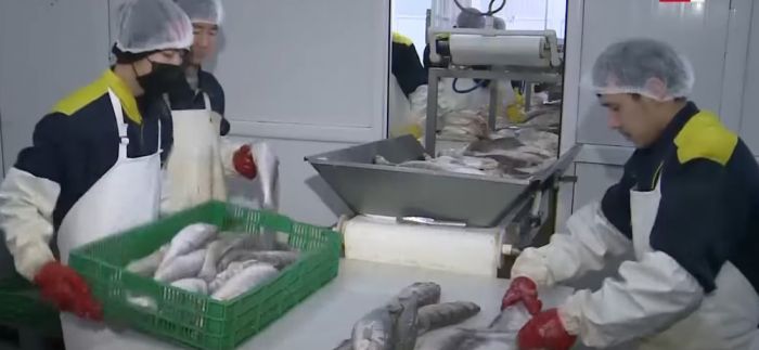 Перспективы развития рыбного хозяйства в Атырауской области