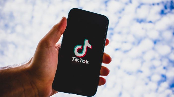 В Конгрессе США приняли закон о запрете TikTok