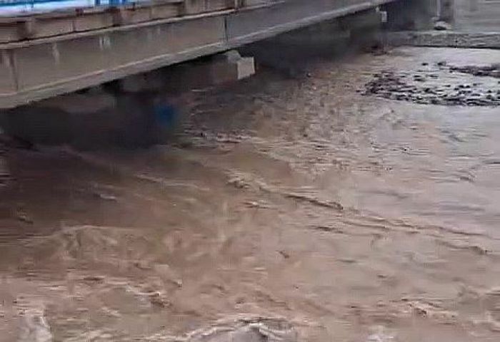 О паводках предупредили в Туркестанской области