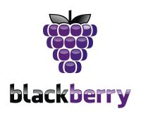 бар-ресторан «blackberry»
