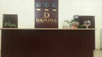гостиница "Дамина"