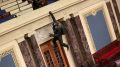 Этот протестующий прыгает с балкона в зале заседаний конгресса. Фото: Getty Images